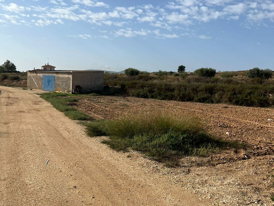 Helårsgrund i Pinoso, Alicante - foto 3